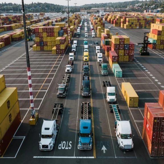 CHEMEXIS_Supply_Chain_Management